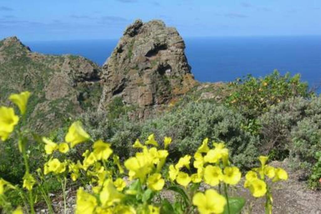 House Rural,Biosphere Reserve World.Taganana.Tfe. Santa Cruz de Tenerife Exteriér fotografie
